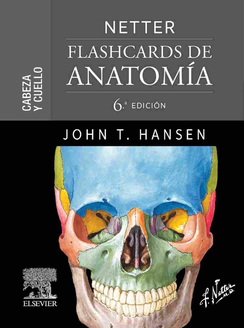 NETTER FLASHCARDS DE ANATOMÍA CABEZA Y CUELLO HANSEN JOHN T