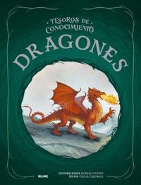 DRAGONES. TESOROS DE CONOCIMIENTO